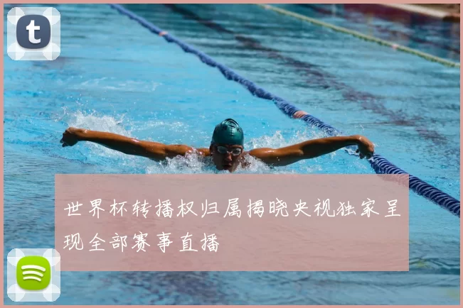 世界杯转播权归属揭晓央视独家呈现全部赛事直播