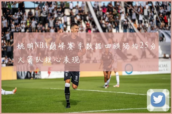 姚明NBA巅峰赛季数据回顾场均25分火箭队核心表现