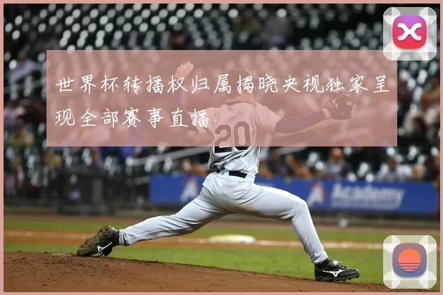 世界杯转播权归属揭晓央视独家呈现全部赛事直播