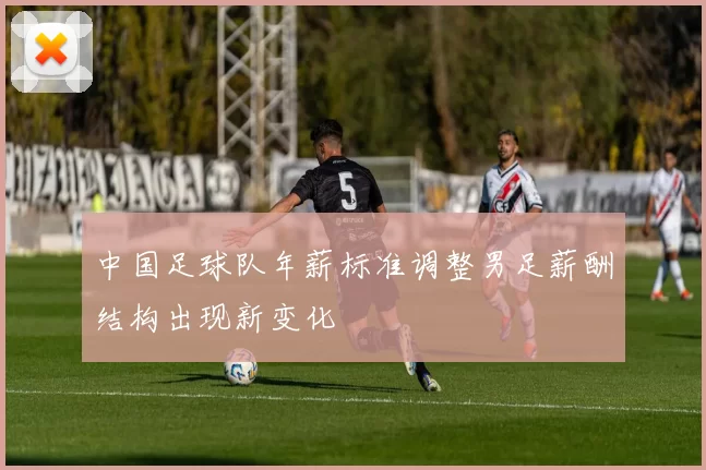 中国足球队年薪标准调整男足薪酬结构出现新变化